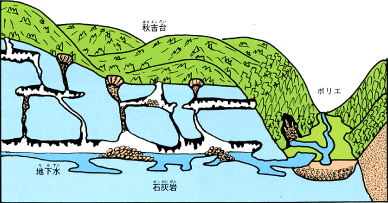 秋芳洞はどうしてできた？