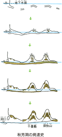 秋芳洞の発達史