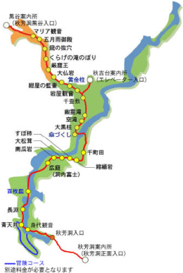 秋芳洞をのぞいてみよう