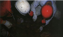 化石を探る人々