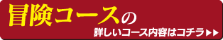 秋芳洞冒険コースの詳しいコース内容はコチラ