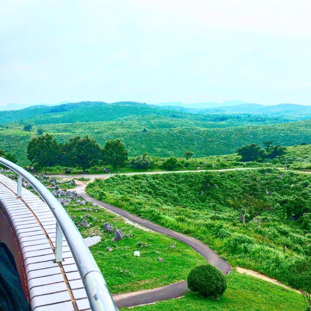 秋吉台の展望台からの景色 公式 山口県美祢市 秋吉台国定公園 観光情報